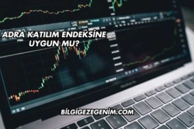 Adra Katılım Endeksine Uygun mu?