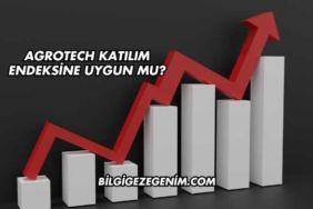Agrotech Katılım Endeksine Uygun mu?