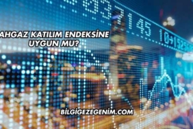 Ahgaz Katılım Endeksine Uygun mu?