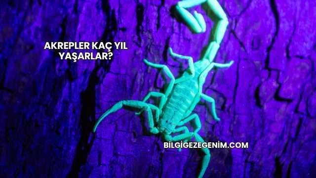 Akrepler Kaç Yıl Yaşarlar?