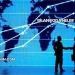 Bilançoda Neler Yer Alır?