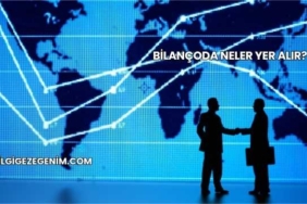 Bilançoda Neler Yer Alır?