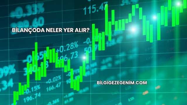 Bilançoda Neler Yer Alır?