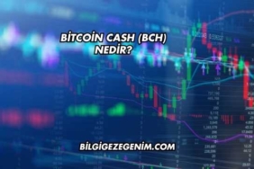 Bitcoin Cash (BCH) Nedir?