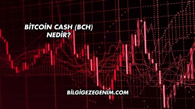 Bitcoin Cash (BCH) Nedir?