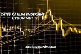 Cates Katılım Endeksine Uygun mu?