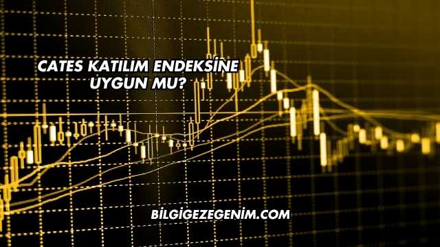 Cates Katılım Endeksine Uygun mu?