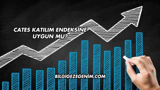 Cates Katılım Endeksine Uygun mu?