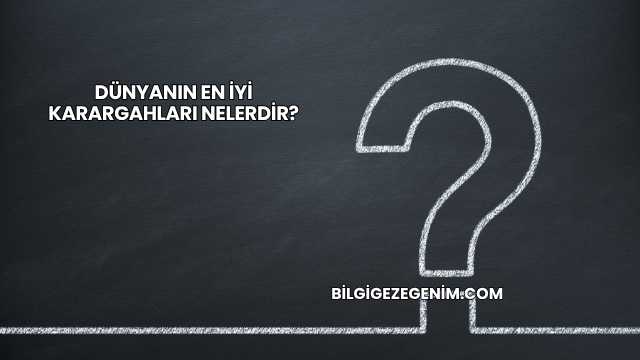 Dünyanın En İyi Karargahları Nelerdir?