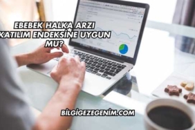 Ebebek Halka Arzı Katılım Endeksine Uygun mu?