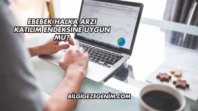 Ebebek Halka Arzı Katılım Endeksine Uygun mu?