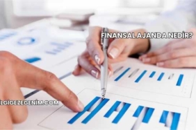 Finansal Ajanda Nedir?