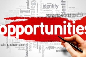 Fırsat Maliyeti Nedir?