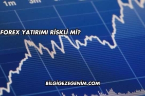Forex Yatırımı Riskli mi?