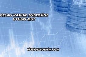 GESAN Katılım Endeksine Uygun mu?