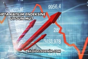 Gıpta Katılım Endeksine Uygun mu?