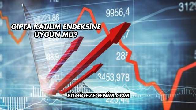Gıpta Katılım Endeksine Uygun mu?