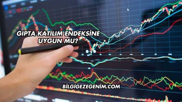 Gıpta Katılım Endeksine Uygun mu?