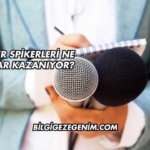 Haber Spikerleri Ne Kadar Kazanıyor?
