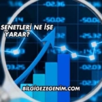 Hisse Senetleri Ne İşe Yarar?