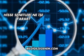 Hisse Senetleri Ne İşe Yarar?