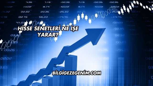 Hisse Senetleri Ne İşe Yarar?