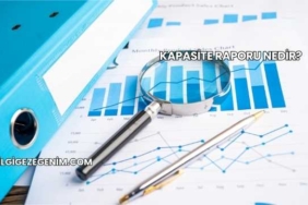 Kapasite Raporu Nedir?