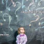 Laiklik Nedir, Ne İşe Yarar?