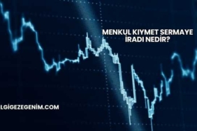 Menkul Kıymet Sermaye İradı Nedir?