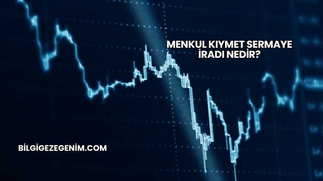 Menkul Kıymet Sermaye İradı Nedir?