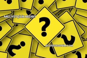 Milliyetçilik Nedir?
