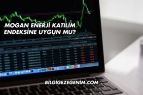 Mogan Enerji Katılım Endeksine Uygun mu?