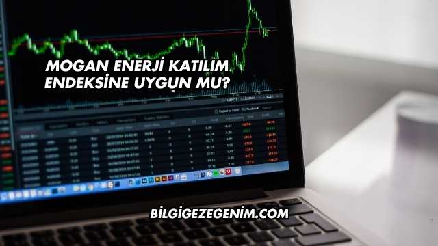 Mogan Enerji Katılım Endeksine Uygun mu?