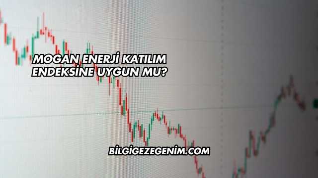 Mogan Enerji Katılım Endeksine Uygun mu?