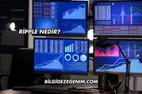 Ripple Nedir?