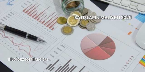 Satışların Maliyeti 2025