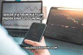 Şeker Yatırım Katılım Endeksine Uygun mu?