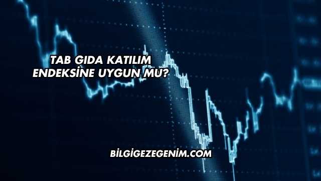 Tab Gıda Katılım Endeksine Uygun mu?