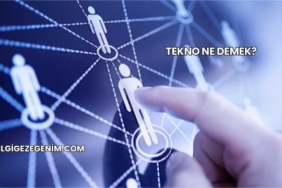 Tekno Ne Demek?