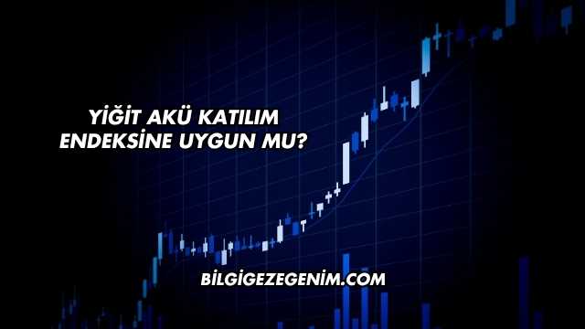 Yiğit Akü Katılım Endeksine Uygun mu?