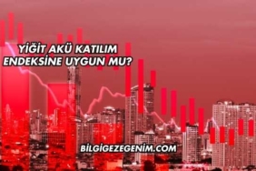 Yiğit Akü Katılım Endeksine Uygun mu?