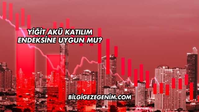Yiğit Akü Katılım Endeksine Uygun mu?