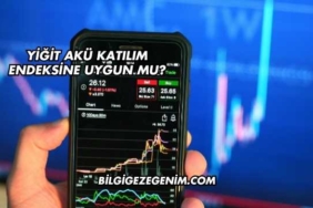 Yiğit Akü Katılım Endeksine Uygun mu?