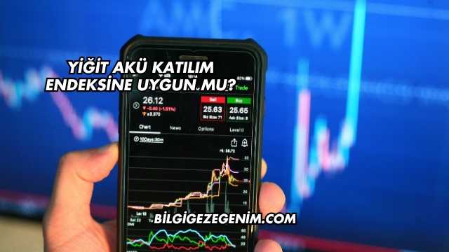 Yiğit Akü Katılım Endeksine Uygun mu?