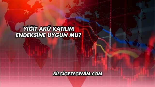 Yiğit Akü Katılım Endeksine Uygun mu?