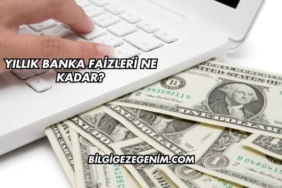 Yıllık Banka Faizleri Ne Kadar?