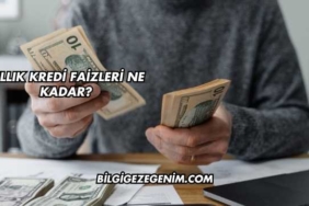 Yıllık Kredi Faizleri Ne Kadar?