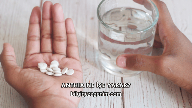 Anthix Ne İşe Yarar?