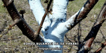 Bordo Bulamacı Ne İşe Yarar