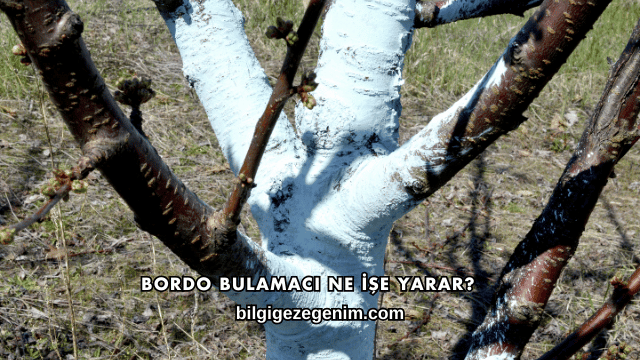 Bordo Bulamacı Ne İşe Yarar